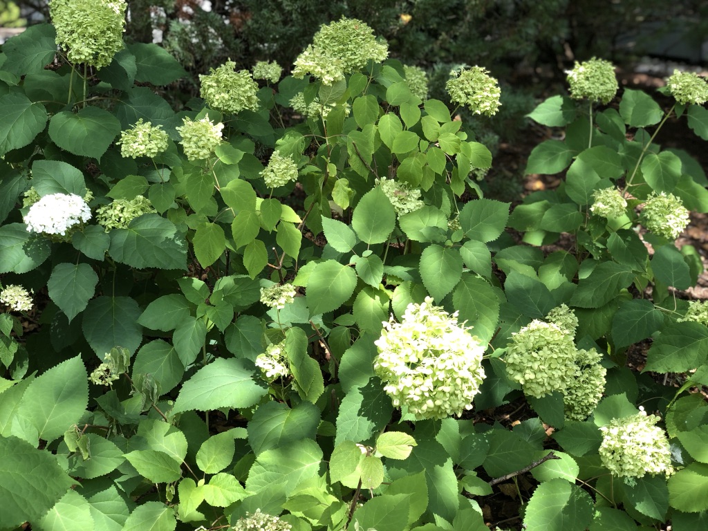 3X2zdvELRHOe5rr1+gOiCw_thumb_1357f