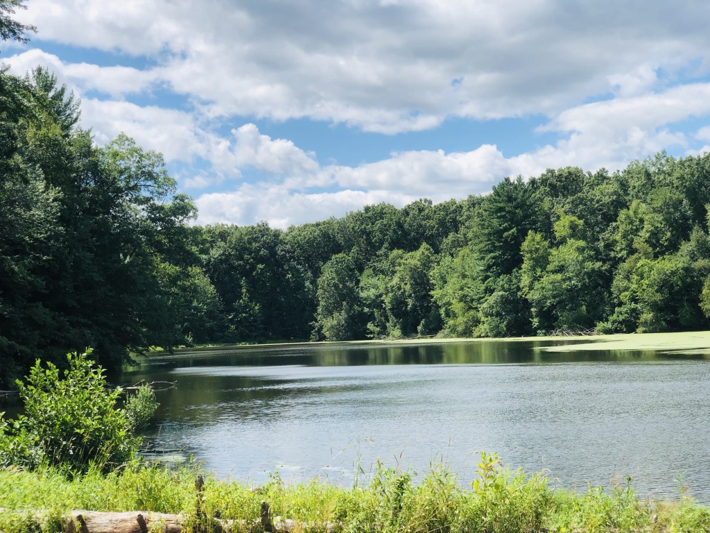 FkmI9wvCQzeMS1JeotIoEw_thumb_136c8