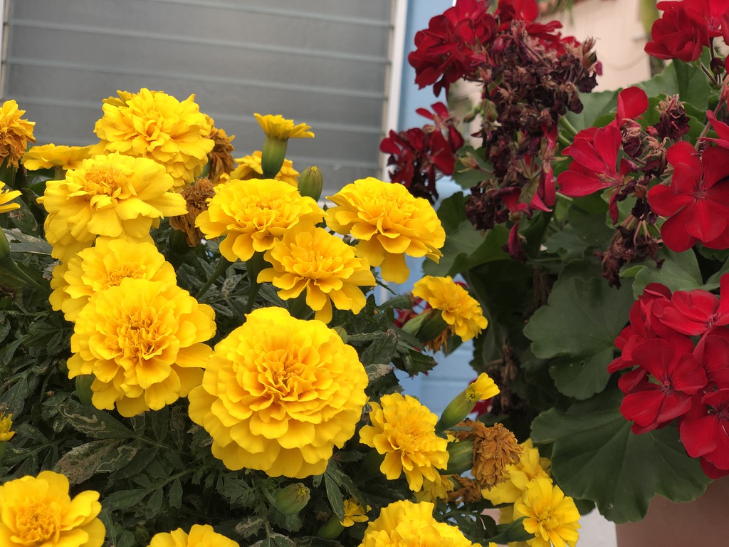 UNADJUSTEDNONRAW_thumb_1403c