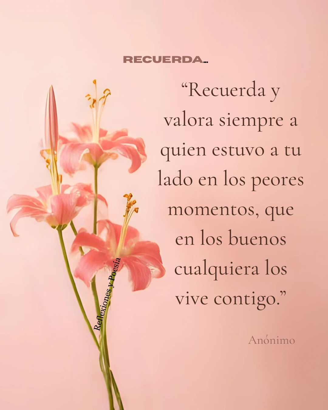 Recuerda, Buenas Tardes …